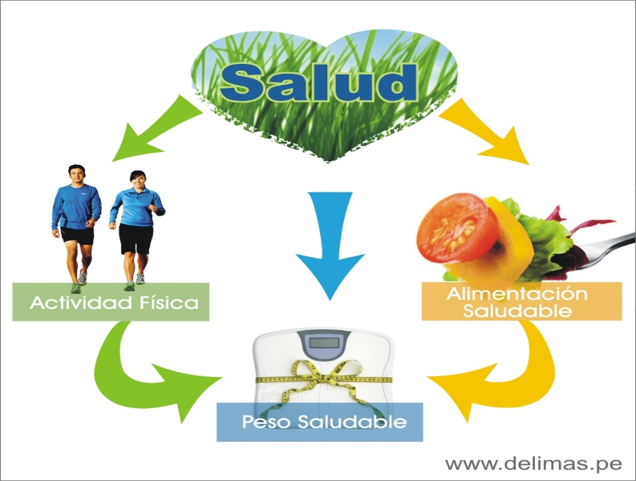 LA ALIMENTACIÓN SANA